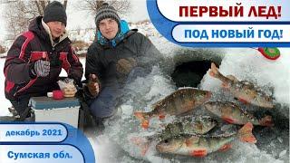 ПЕРВЫЙ ЛЕД под НОВЫЙ ГОД! Ловля ОКУНЯ на МОРМЫШКУ в конце декабря. СЕЗОН 2021 / 2022