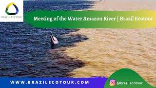 Meeting of the Water Amazon River | Brazil Ecotour