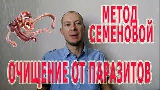 Методика дегельментизации (очищения) от паразитов по методу Надежды Семеновой