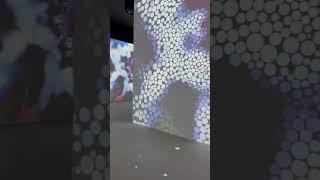 ️Newfields | Simply Stunning Display ️