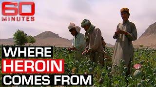 Inside Afghanistan's booming opium trade | 60 Minutes Australia