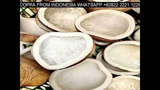 Copra Buyer Lucena City Whatsapp +62822 2221 1225 - We Supplier & Exporter From Indonesia