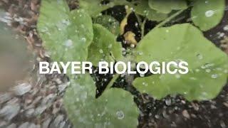 Bayer Biologics: Innovation Through Partnership