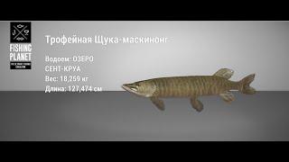 FISHING PLANET    ЩУКА-МАСКИНОНГ 10+/15+