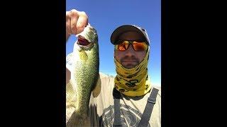 Fishing Big Plastic Worms For Hot Summer Bass In The Reno Area