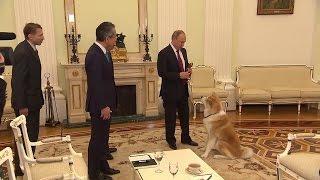 Putin brings his Akita breed dog Yume before interview with Japanese media