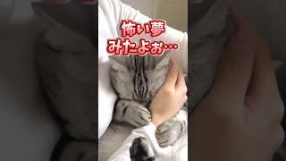 ㊗️500,000 views!! If you grin when you see Neko, you're out lol