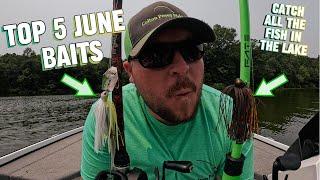 Top 5 Best June Baits That Catch Big Bass