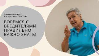 649. Почин, Землин и Базудин... очень старые, проверенные и надёжные!