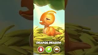 Cute Orange Dragon - Dragon Mania Legends #Shorts