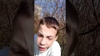 Заброшение кусты