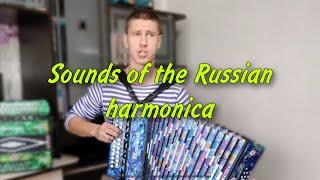 Incredibly beautiful Russian song - Sounds of the Russian harmonica