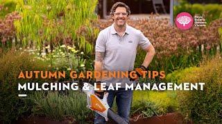 Autumn Tip: Mulching & Leaf Management with Charlie Albone