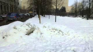 Весна в Санкт-Петербурге 13040026