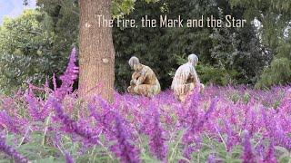 The Fire, the Mark and the Star