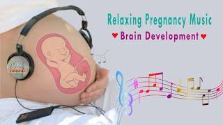  Pregnancy Music for Baby and Mother   Brain development 