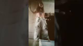 Тори фокс замеееть