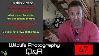 Wildlife Q&A - Episode 47: Favourite lens & camera combo, maximum ISO and always shooting in RAW