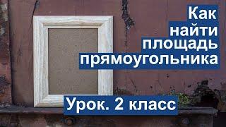 Урок. Как найти площадь прямоугольника. Математика 2 класс. #учусьсам