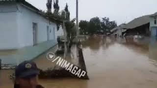 SUV BOSGAN QISHLOQDA ODAM QOLIB KETGANMI YO'QMI QUTQARUVCHILAR KO'RIB CHIQMOQDA