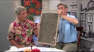 Paul Pepper: Dave Mars, Columbia Water and Light