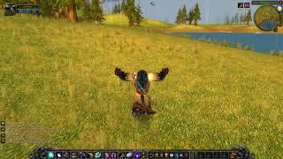 World of Warcraft: Druid: Body and Heart