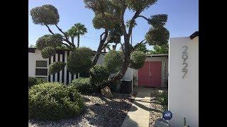 Palm Springs Real Estate | Mark Gutkowski