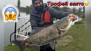 Рибалка біля дому, ловив щуку та Судака, а взяв товстолоба#fishing #рибалкавукраїні #риболов #fish