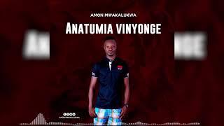 Amon mwakalukwa {Anatumia vinyonge official audio}