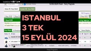 15 Eylül 2024 Pazar İstanbul At yarışı tahminleri İstanbul altılı ganyan tahminleri | Oğulcan Karaca