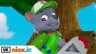 Paw Patrol | Meet: Rocky! | Nick Jr. UK