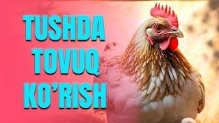 Tushda tovuq ko'rish | Тушда товуқ кўриш