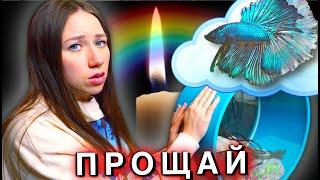 УМЕР НЕМО в День Рожденья Сняла в Последний День Смерть Питомца | Elli Di Pets