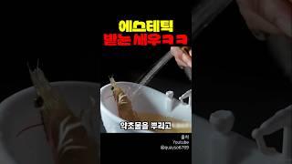 에스테틱 받는 새우