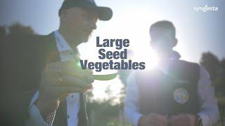 Meet the Syngenta Large Seed Vegetables Team