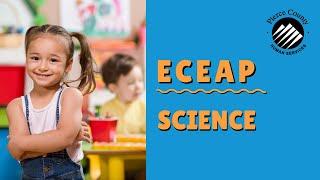 ECEAP - South Hill - Science - Trees