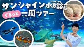 空飛ぶペンギンに会える！サンシャイン水族館行く前に見て！楽しすぎる徹底解説ツアー（sunshine aquarium tokyo）