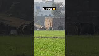 Samsung Galaxy S24 Ultra 30x Zoom  #saqibmobile #samsungs24ultra #shorts