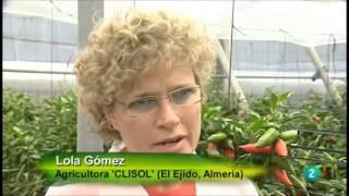 Agrosfera - Syngenta