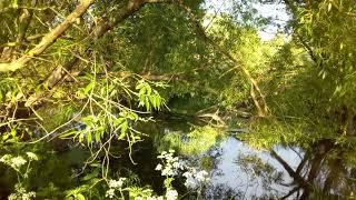 #vlog June 9,  2024. Was fishing on small river outside town