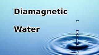 Diamagnetism of Water