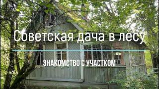 Купили заброшенную дачу в лесу. Советская дача - знакомство с участком и домом. Выпуск №1