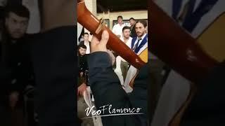 SEBASTIAN SOLER cantando en la boda de la nieta de CAMARON | VEOFLAMENCO