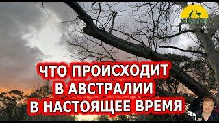 ЧТО ПРОИСХОДИТ В АВСТРАЛИИ В НАСТОЯЩЕЕ ВРЕМЯ. [#1Australia]#4457