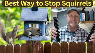 Squirrel Proof Your Bird Feeder