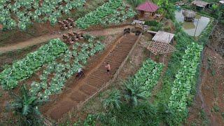 Building an Off Grid Life | The Beginning of a Beautiful Garden,Build a Farm and Dream Life