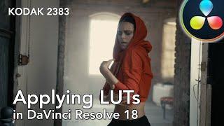 How to apply LUTs in DaVinci Resolve 18 (Kodak 2383)