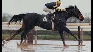 Seattle Slew - Full Documentary