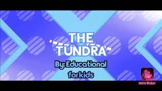 The Tundra | Educational for kids