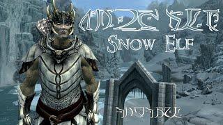 Angaril, the Last Snow Elf | Skyrim Build Guide